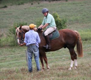 woodford.2012.3